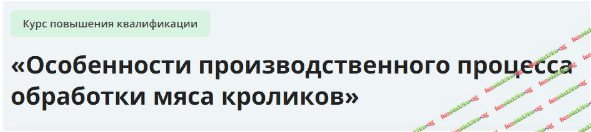 001-branded.jpg