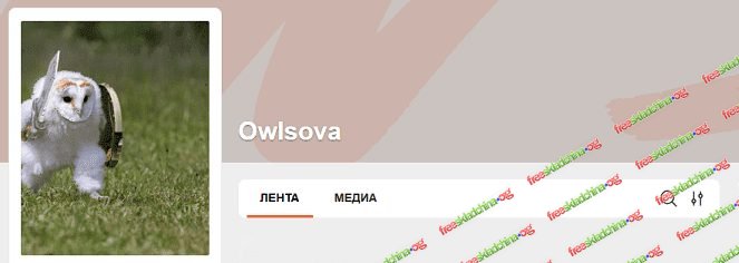 001-branded.jpg
