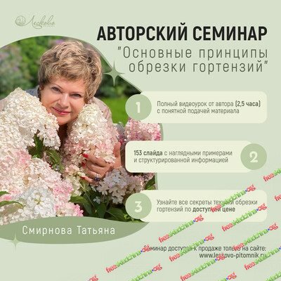 001-branded.jpg