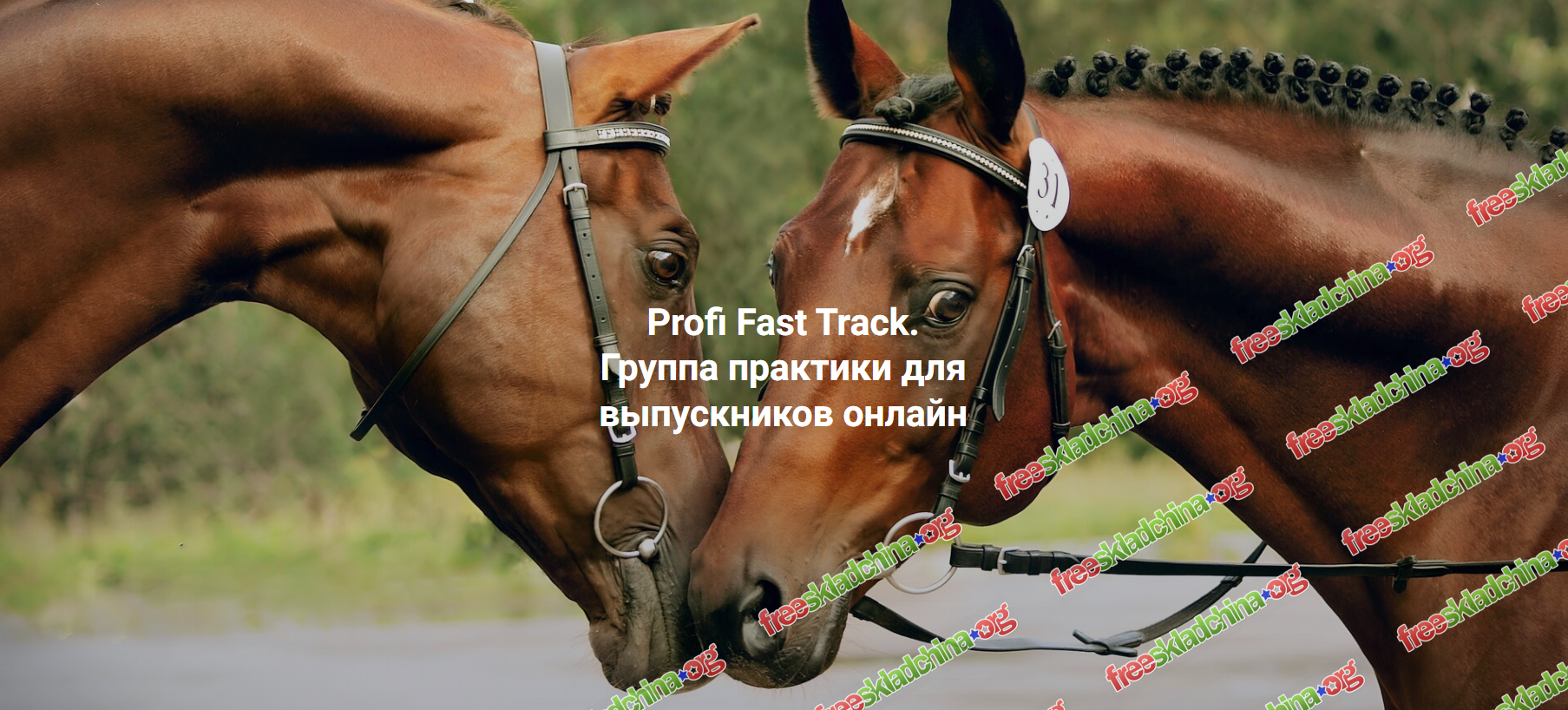 1790145515044.png