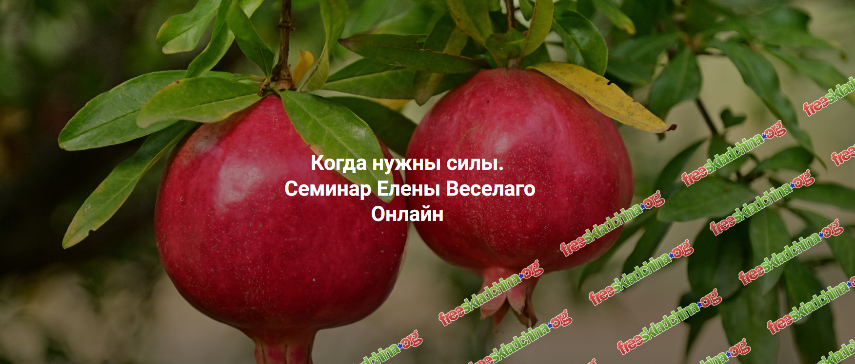 1790146020195.png