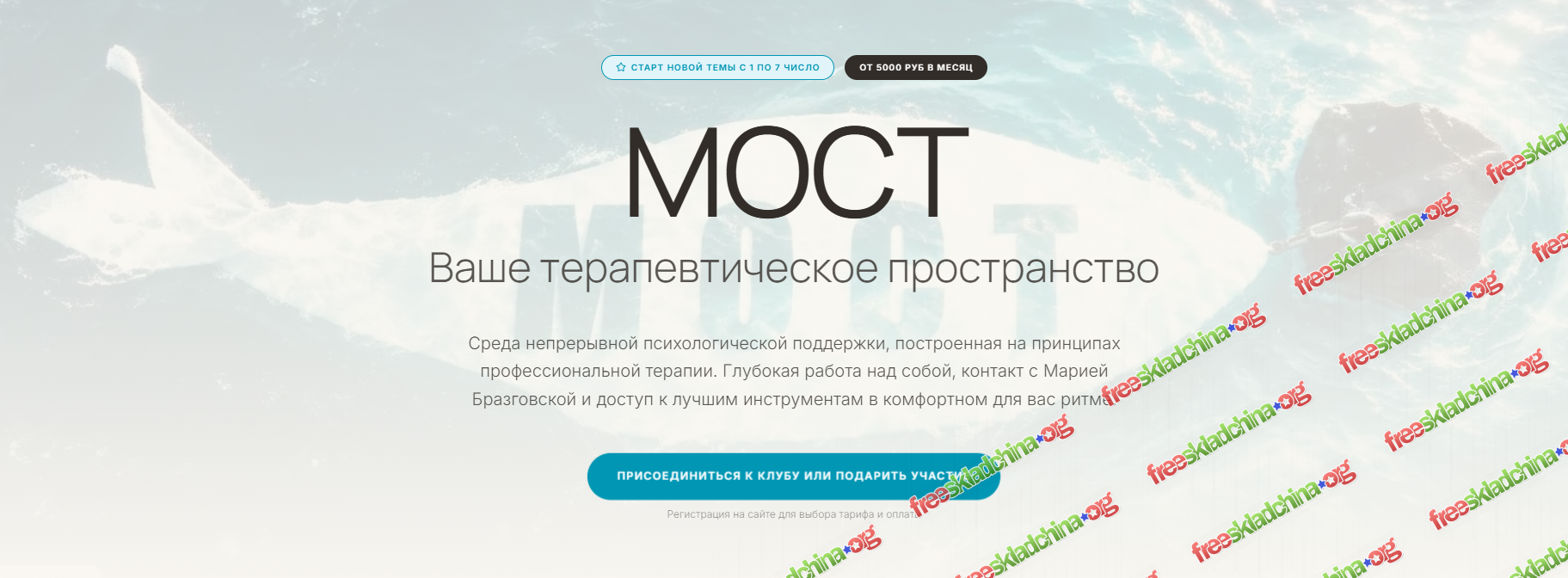1791050206585.png