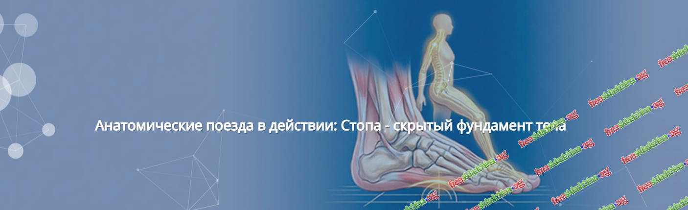 1791132802381.png