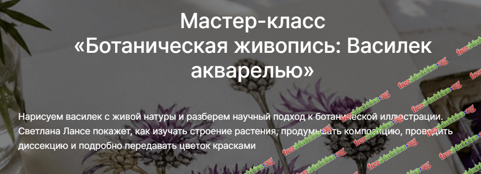 1791223159865.png
