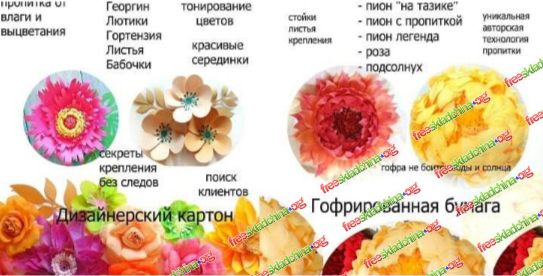 1791473746550.png