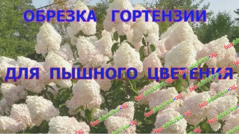 1791494355310.png