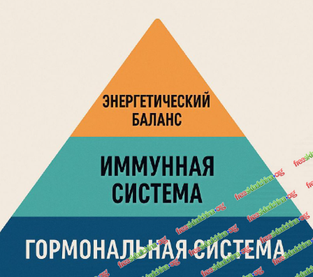 1791649385269.png