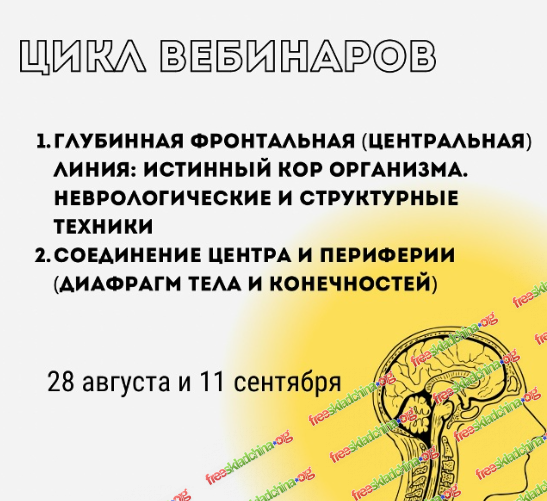 1791815287079.png