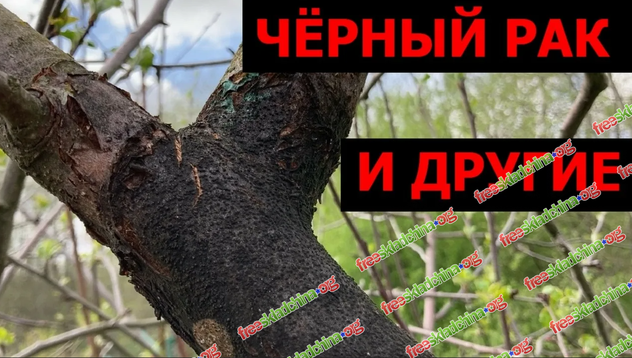 1792054641993.png