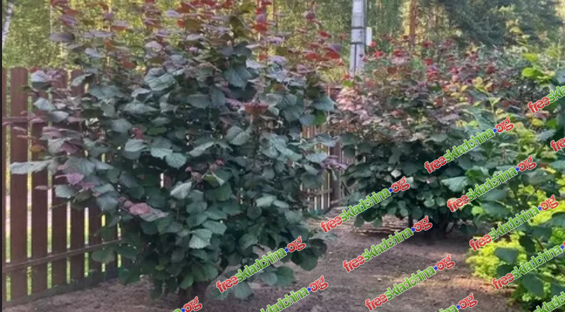 1792054915450.png