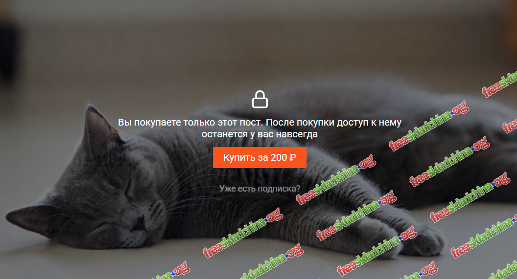 1792951562037.png
