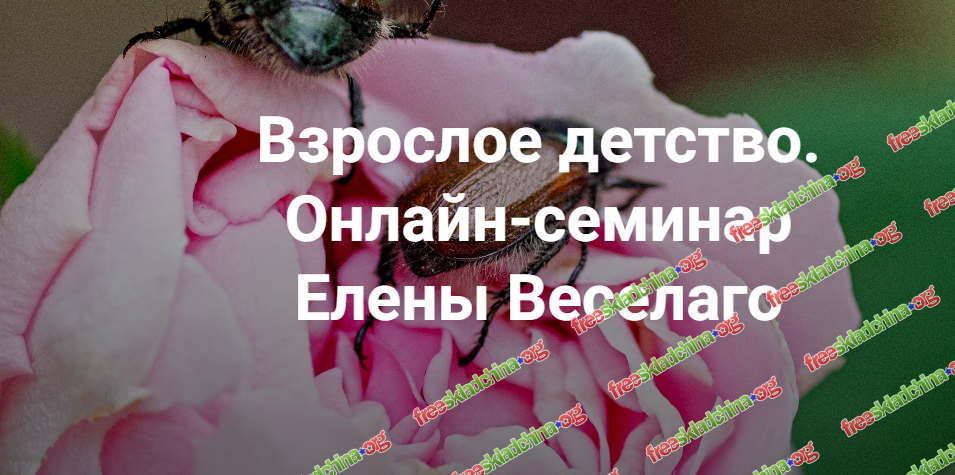1793040123550.png