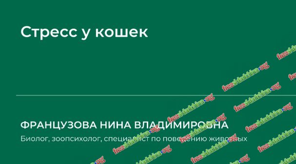 b5ca77f16b59c40cf71f323eef2449167d7242ff7707a7c9508a74f64b5006c7-replacement.jpg