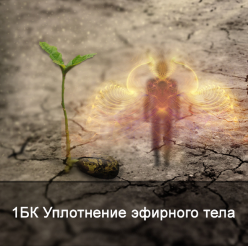 1643778373293.png
