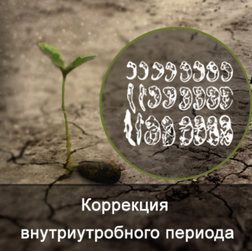 1643893539553.png