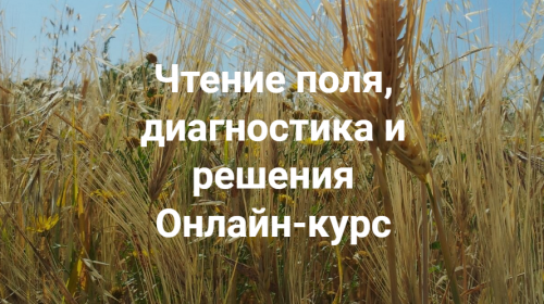 2022-12-06_21-19-36.png