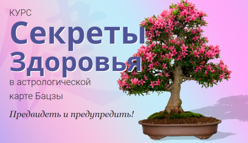 2022-12-26_12-44-29.png