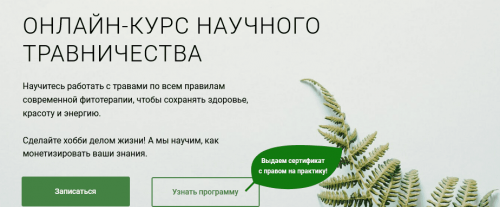 1679155592774.png