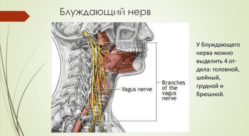 1684491149315.png