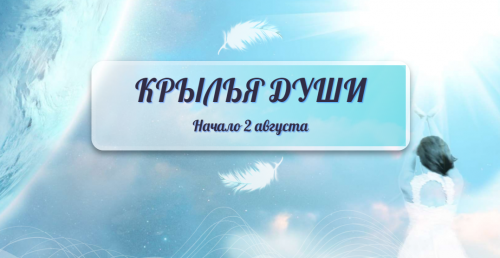 1691421801491.png