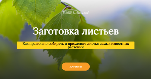 1695551336879.png
