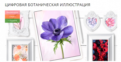 1698507255539.png