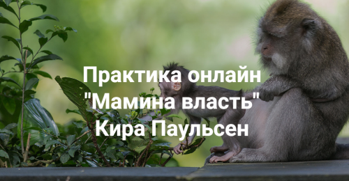1699601831928.png