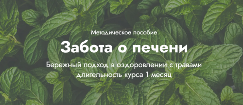 1707307584540.png