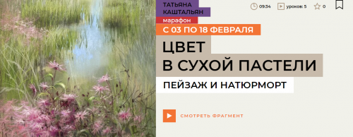 1708078039515.png