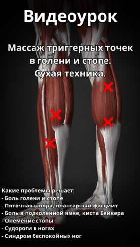 1711274496569.png