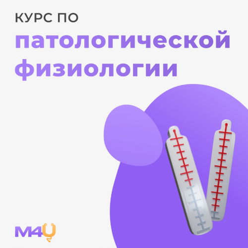 1712155035638.png