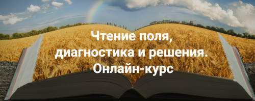 1715879385048.png