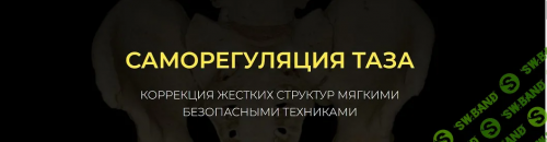 PIC1.png PIC1.png