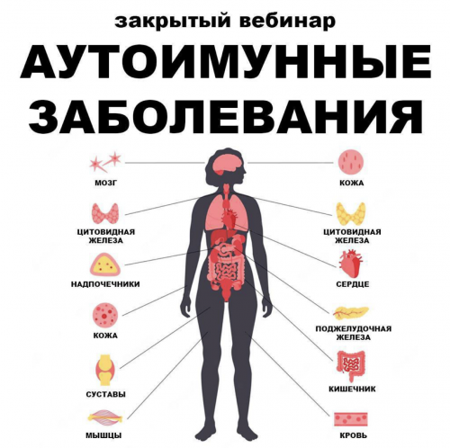 Снимок экрана 2025-04-29 в 10.52.32.png