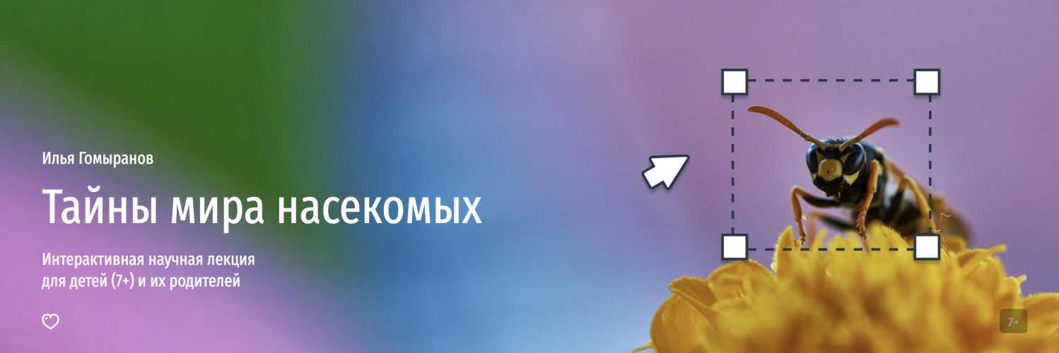 Снимок экрана 2025-06-03 в 10.13.44.png Снимок экрана 2025-06-03 в 10.13.44.png