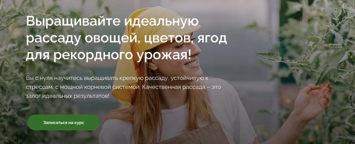 Снимок экрана 2025-07-24 в 16.08.45.png