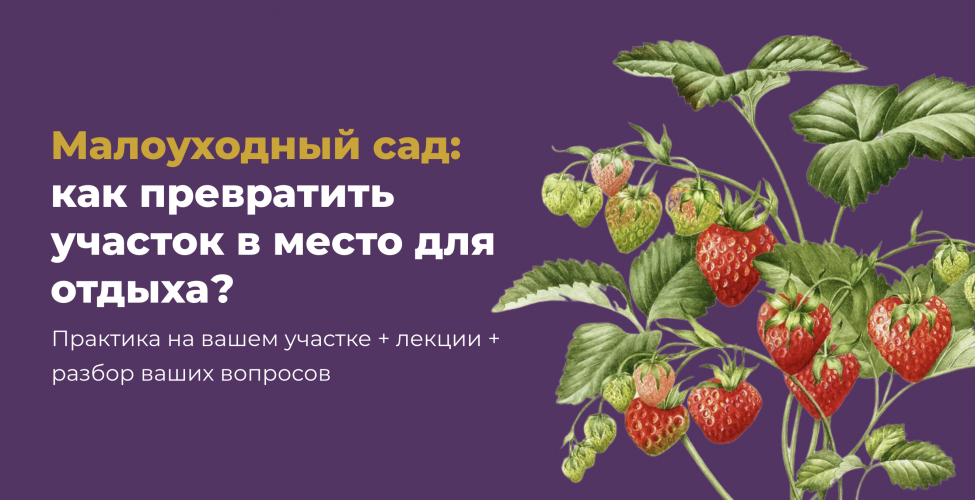 Снимок экрана 2025-09-05 в 10.13.56.png Снимок экрана 2025-09-05 в 10.13.56.png