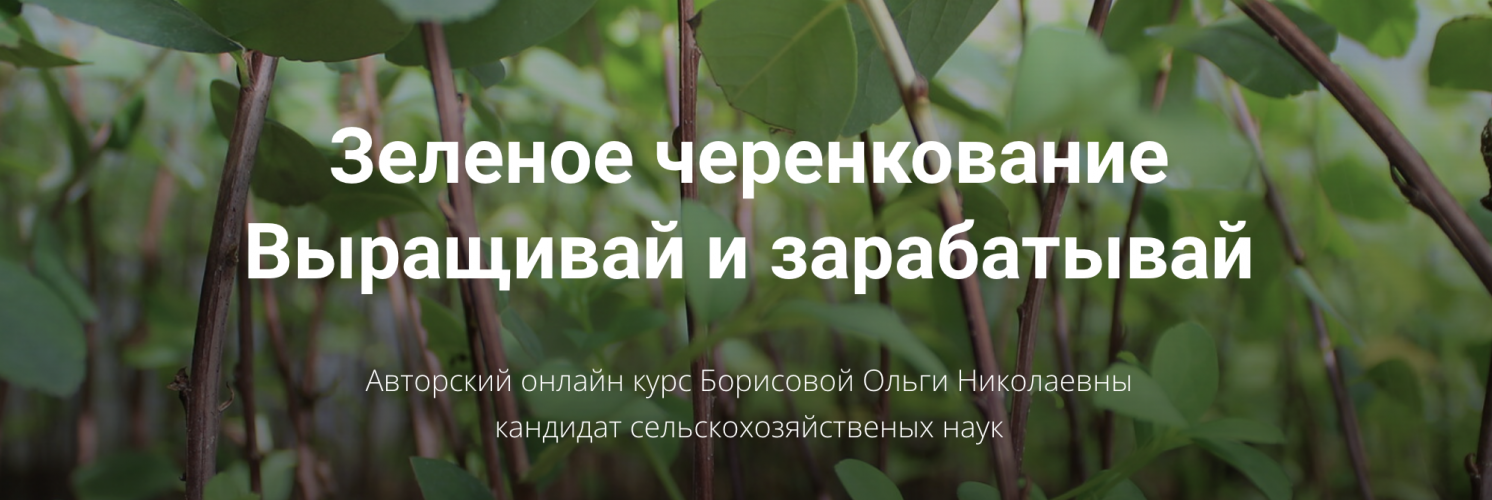 Снимок экрана 2025-09-05 в 10.08.56.png Снимок экрана 2025-09-05 в 10.08.56.png