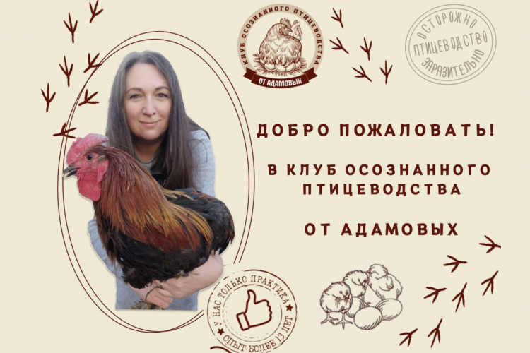 Снимок экрана 2025-09-10 в 12.00.48.png