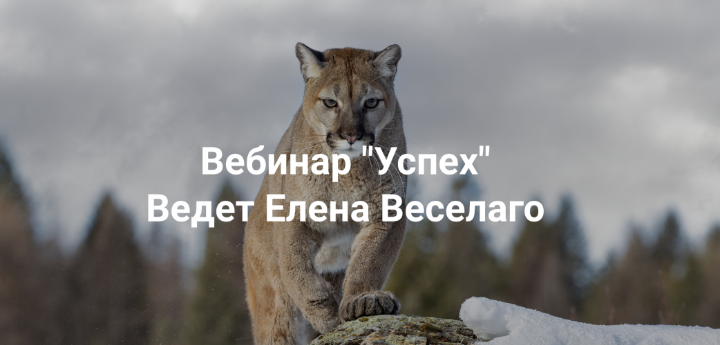 Снимок экрана 2025-09-13 в 20.08.37.png