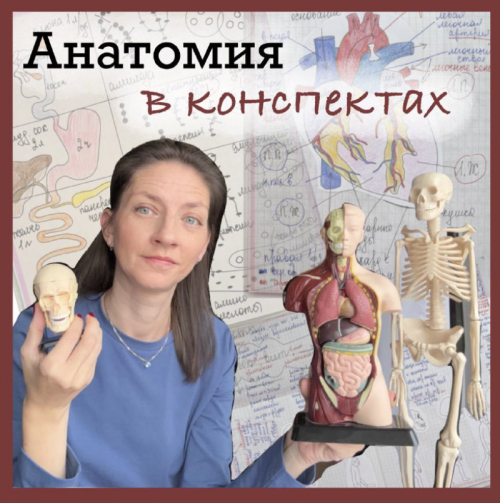Снимок экрана 2025-09-17 в 16.46.14.png Снимок экрана 2025-09-17 в 16.46.14.png