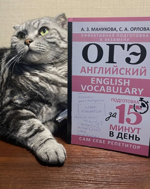 Снимок экрана 2025-10-16 в 09.45.04.png Снимок экрана 2025-10-16 в 09.45.04.png