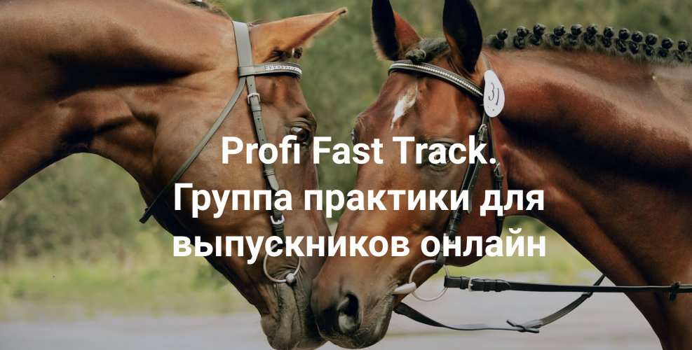 Снимок экрана 2025-10-28 в 17.00.13.png