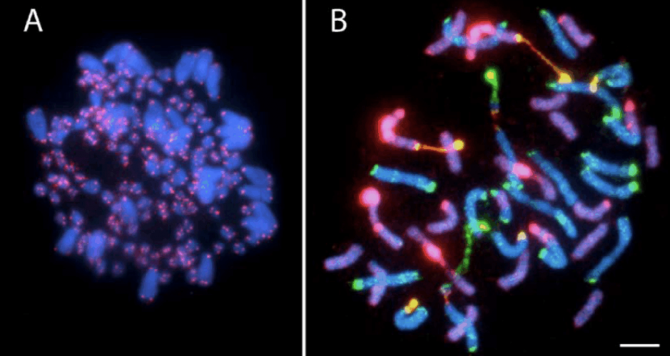 Снимок экрана 2025-11-18 в 08.55.20.png