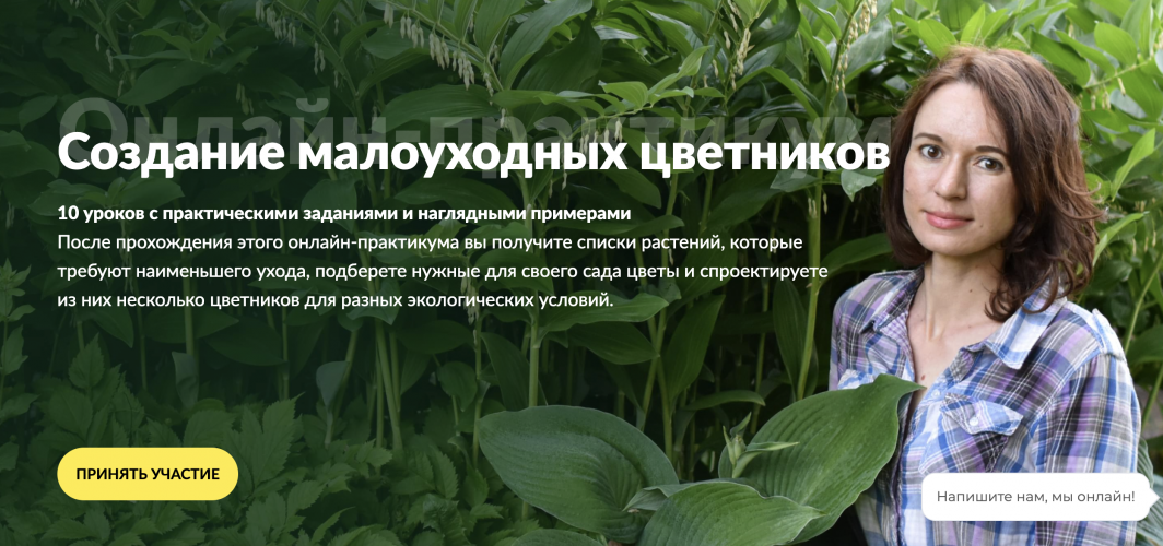 Снимок экрана 2025-11-20 в 16.49.52.png