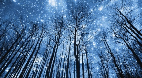 1768142808924.png 1768142808924.png