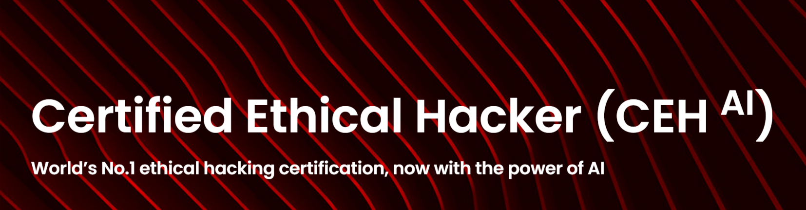 1771336467907.png 1771336467907.png