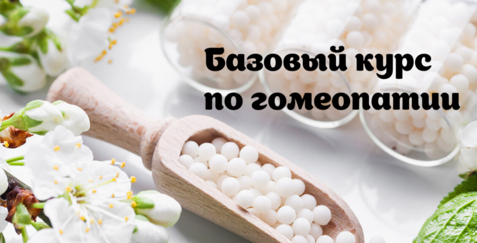 1771355572699.png 1771355572699.png