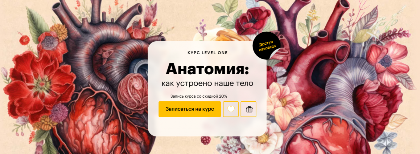 1772136585741.png 1772136585741.png