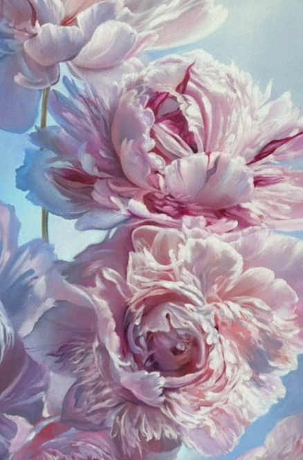 1772207109305.png 1772207109305.png